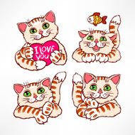 cute color smiling cats