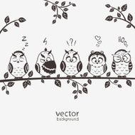 owls five