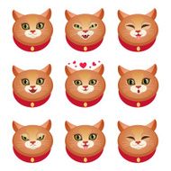 Cats emotions set
