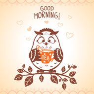 owl morning