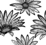 Doodle floral seamless vector pattern