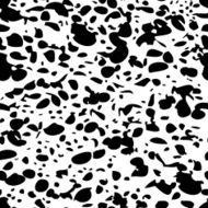 Vector seamless animal black and white pattern