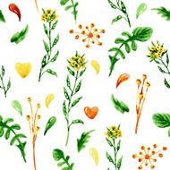Summer flowers