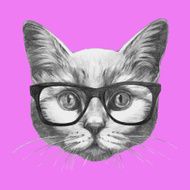 Hand drawn portrait of Cat with glasses