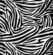 Zebra Skin