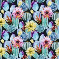 Cactus seamless patterns