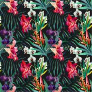 tropical pattern N2