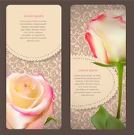 Beautiful Floral Cards with Realistic Rose Flowers Vector Illus