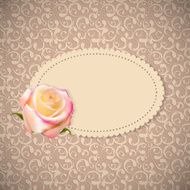 Beautiful Floral Cards with Realistic Rose Flowers Vector Illus N2