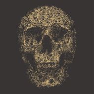 Skull N22