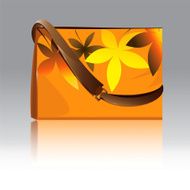 Fashion Bag