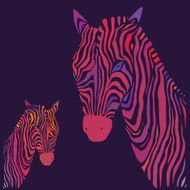 Zebra Vector illustration