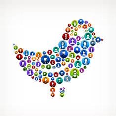 Bird People Faces Community and Communication Pattern N2