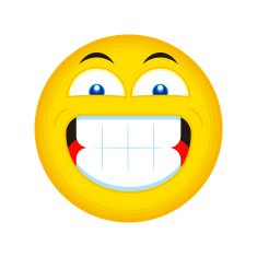 Single Emoticon (Big Smile)