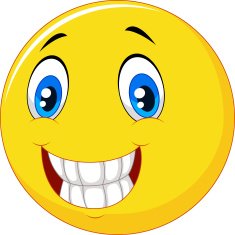 Happy Smiley Face N60
