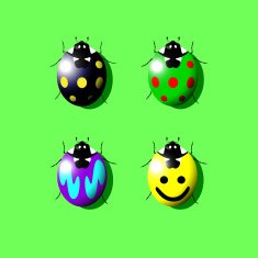 coccinella 02