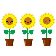 Cute sunflowers Kawaii japanese style