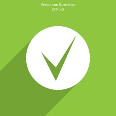 Vector check web icon N3