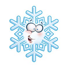 Snowflake Head - Hi