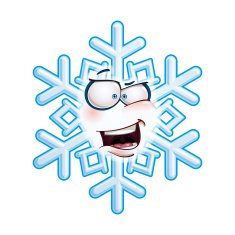 Snowflake Head - AHA