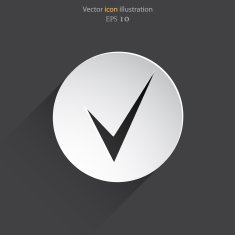 Vector check web icon N4