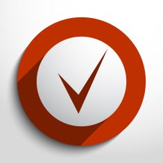 Vector check web icon N5