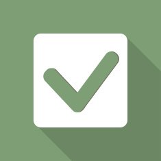 accept web icon N3