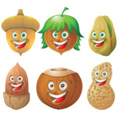 Nuts and seeds icon character set