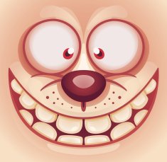 Cute Animal Face