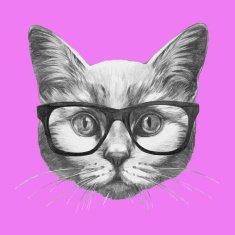 Hand drawn portrait of Cat with glasses