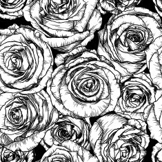 Black and white Seamless Pattern with Roses
