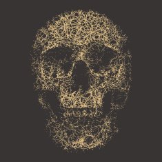 Skull N22