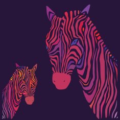 Zebra Vector illustration