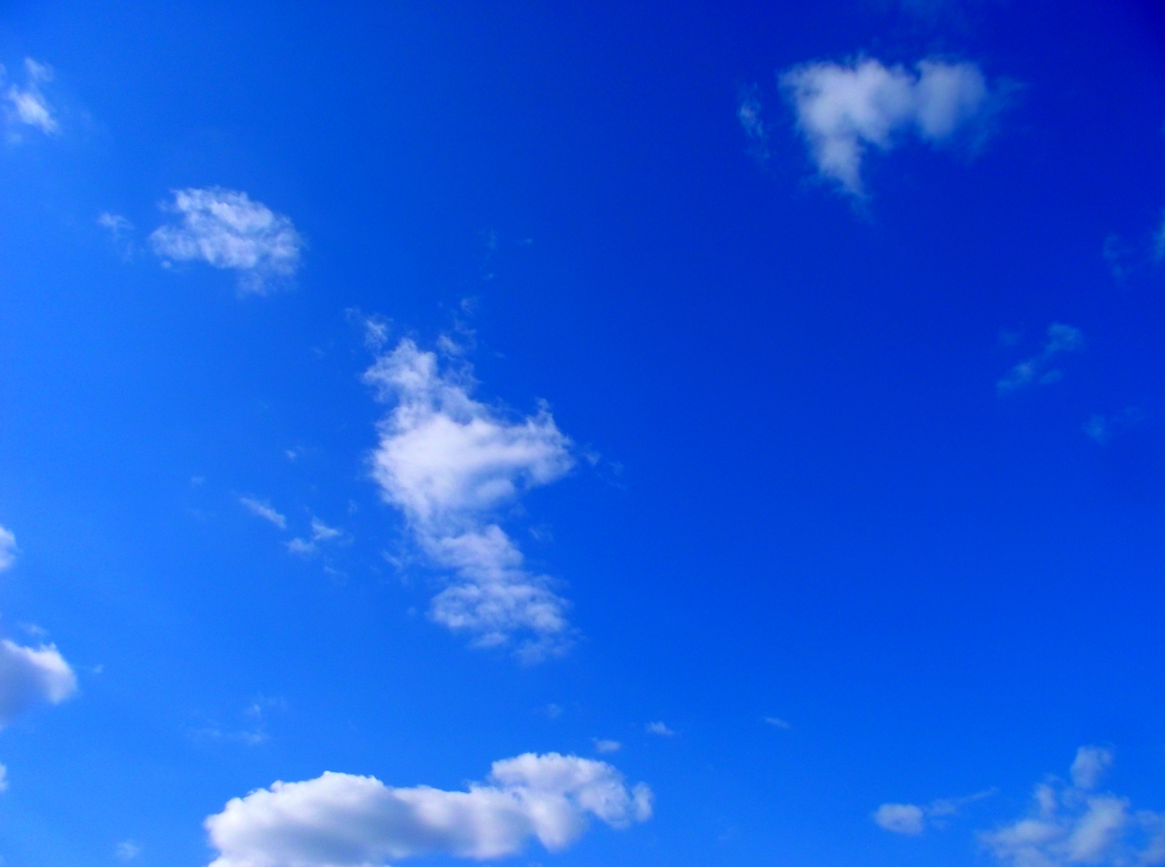 Cumulus clouds at blue sky free image