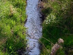 fast summer stream