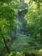 forest urach waterfall