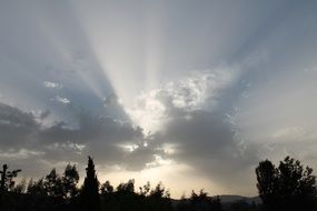 bright rays of the sun in the sky at sunrise