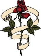 red rose and ribbon, vintage drawing