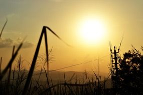 sunset above the grass, sri lanka, ceylon