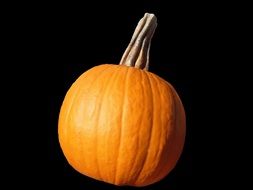 orange pumpkin pumpkin on the black background