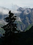 panorama view of alpines