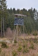 forest platform