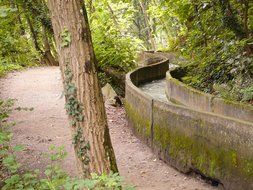 Beautiful water channel among the green trees in the woods