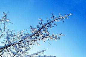 nice winter day