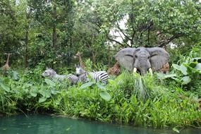 elephants and zebras in the jungle