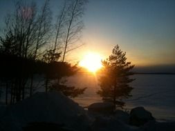 sunset on the horizon against a background of trees