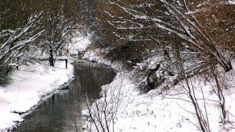 stream among the snowy forest