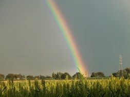 beautiful rainbow after rain on the landscape