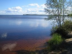 Landscape of the summer lake