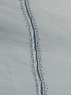 view from above on the trail in deep snow